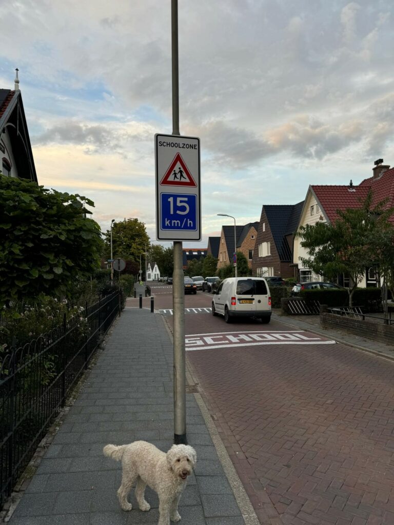 This image has an empty alt attribute; its file name is verkeer-buurt-768x1024.jpg